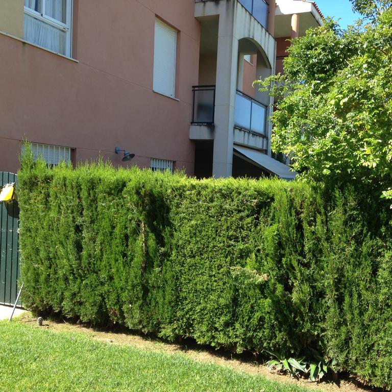 Divi Apartments Costa Ballena Εξωτερικό φωτογραφία